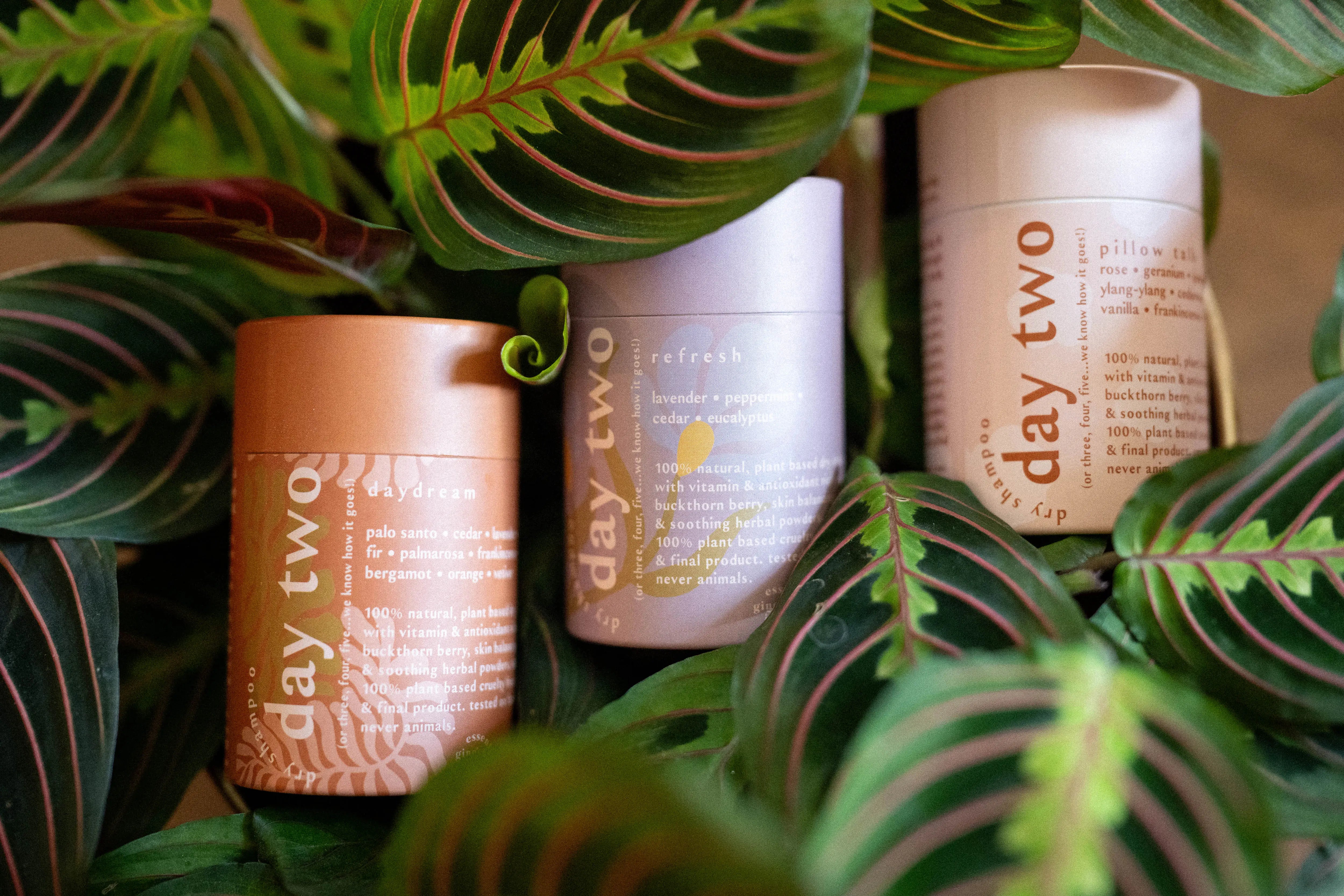 day two • 100% natural dry shampoo – Ginger June Candle Co.