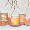 coconut vanilla • shapes collection