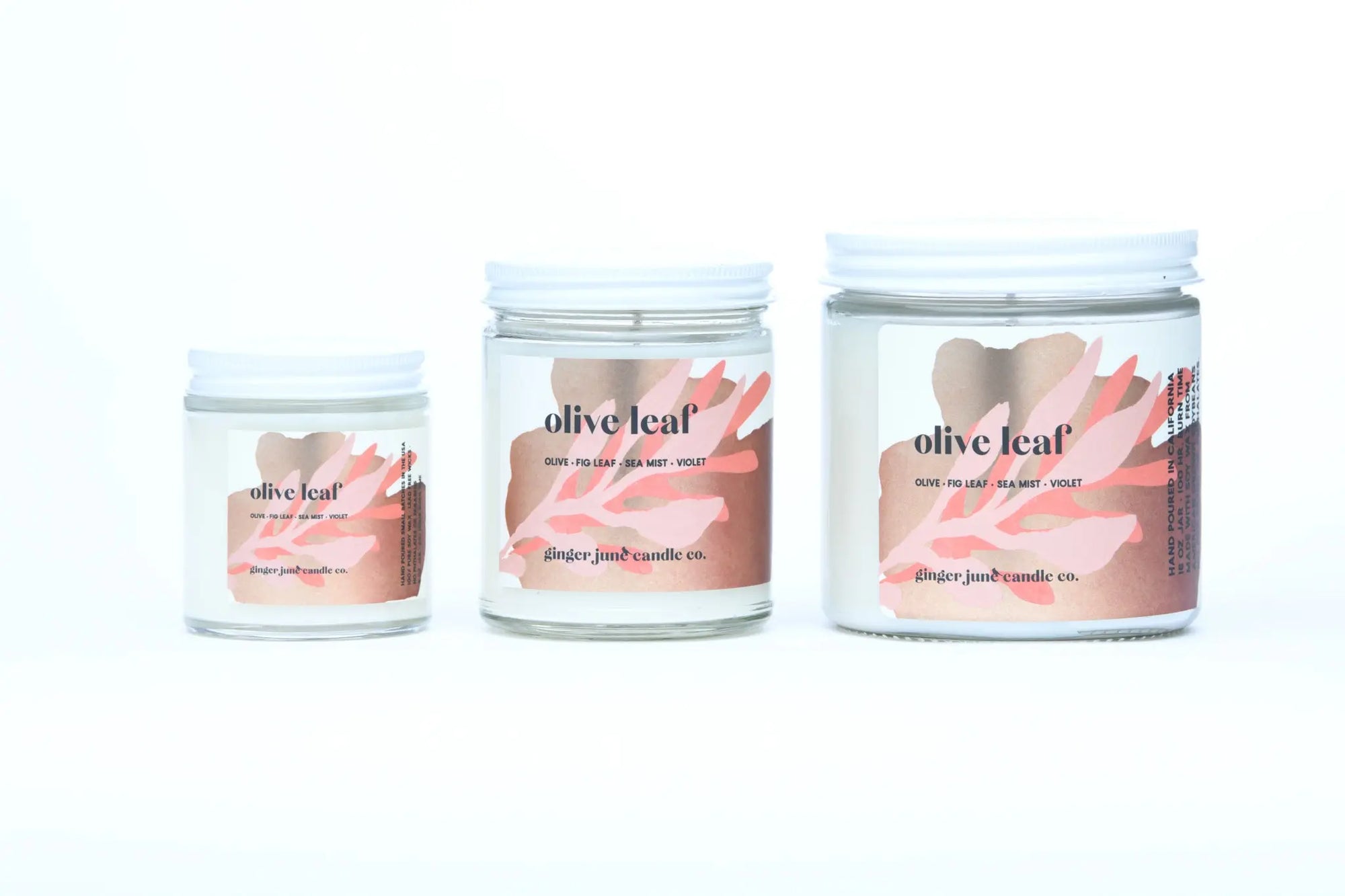 olive leaf • terra collection • non toxic soy candle